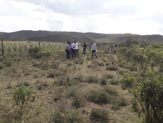 Additional property image